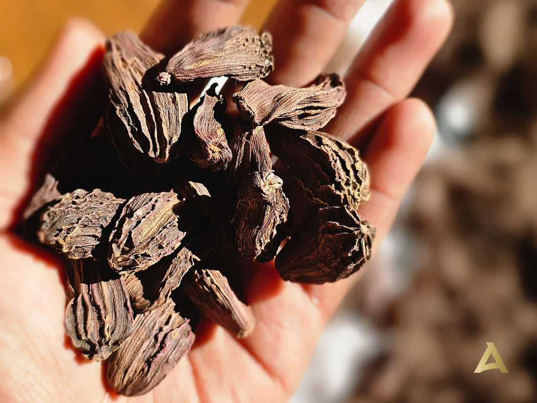 8 Health Benefits of Black Cardamom Backed by Science | Aapala