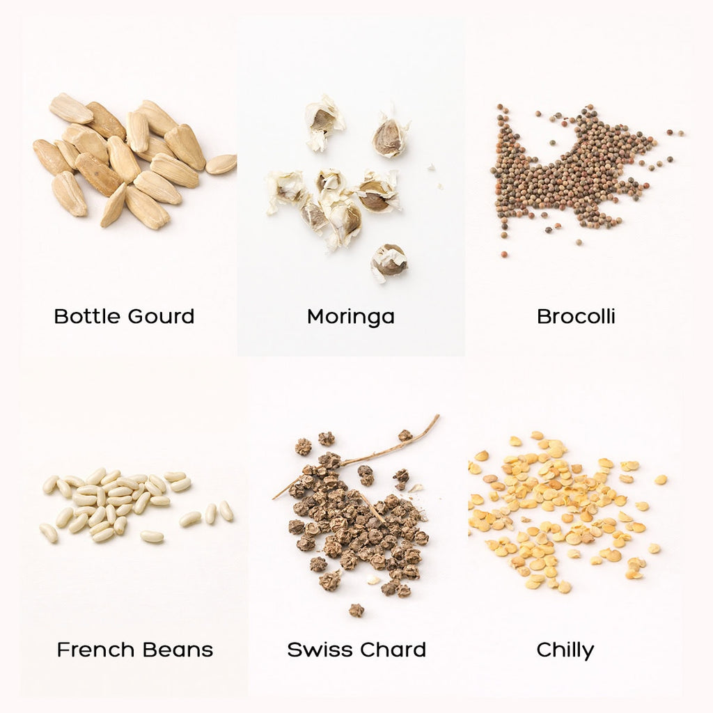 Seeds