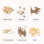 Seeds