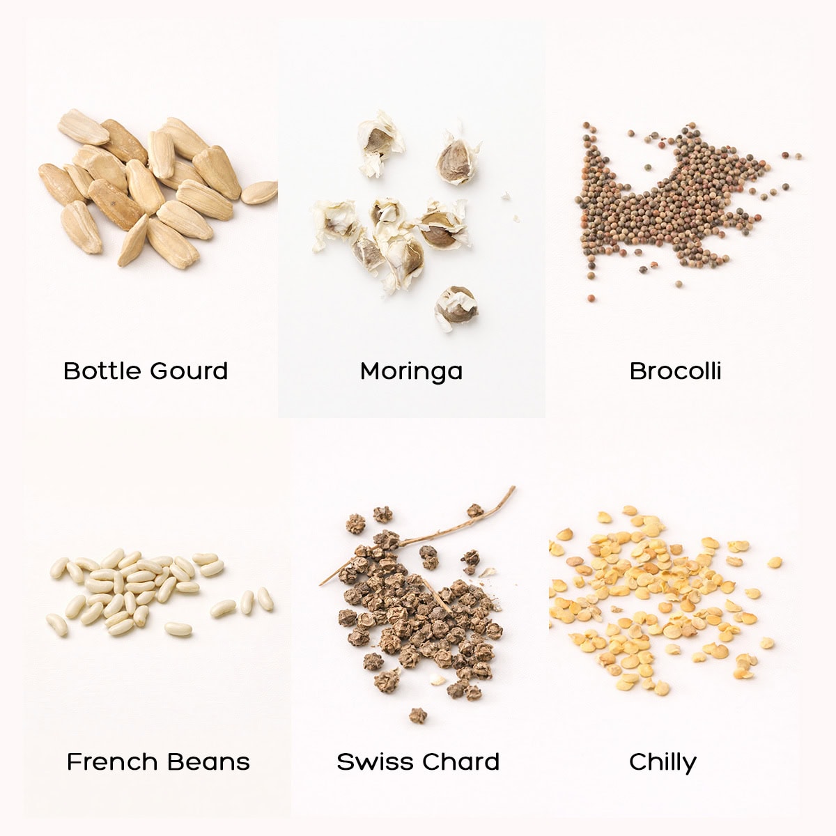 Seeds