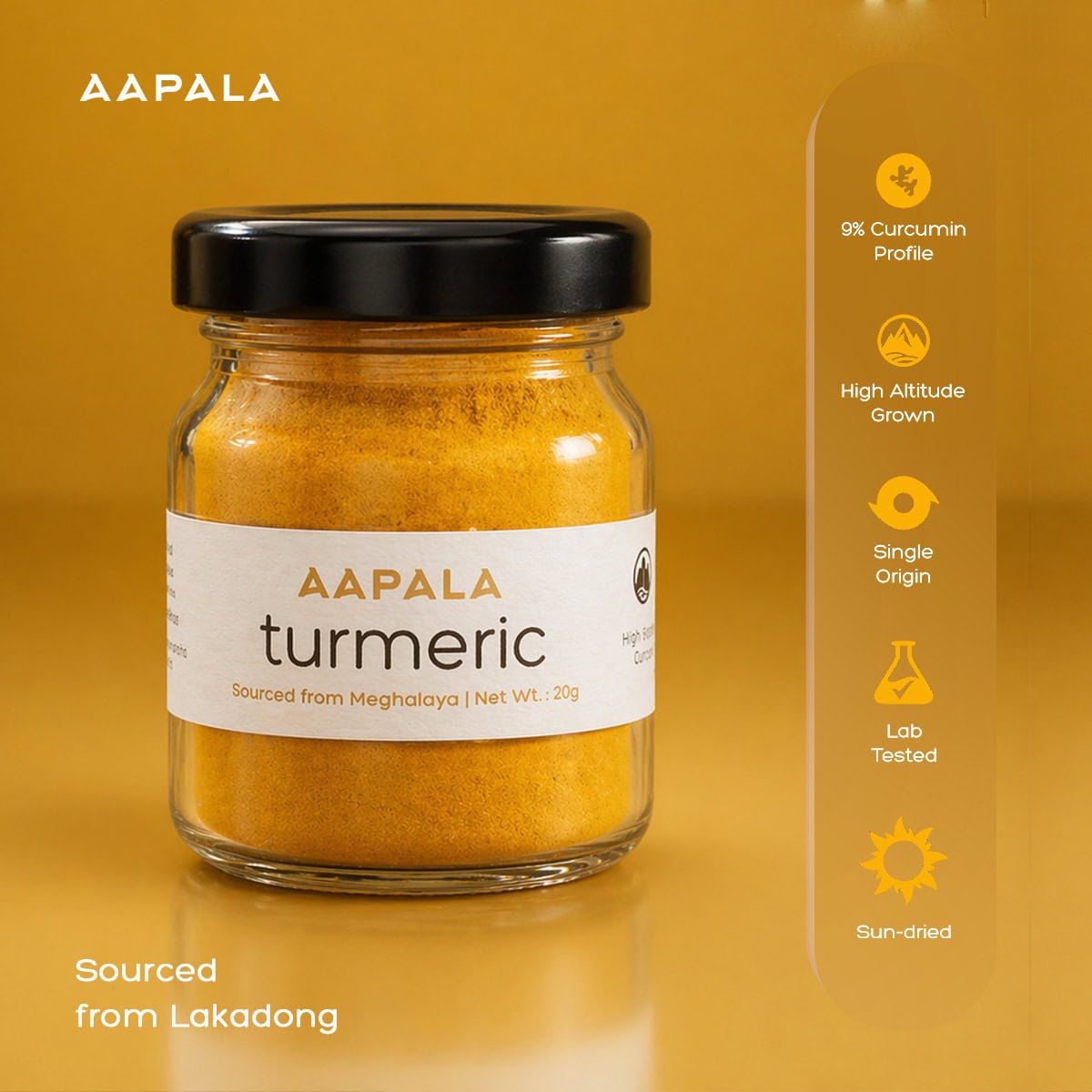 Lakadong Turmeric | Aapala