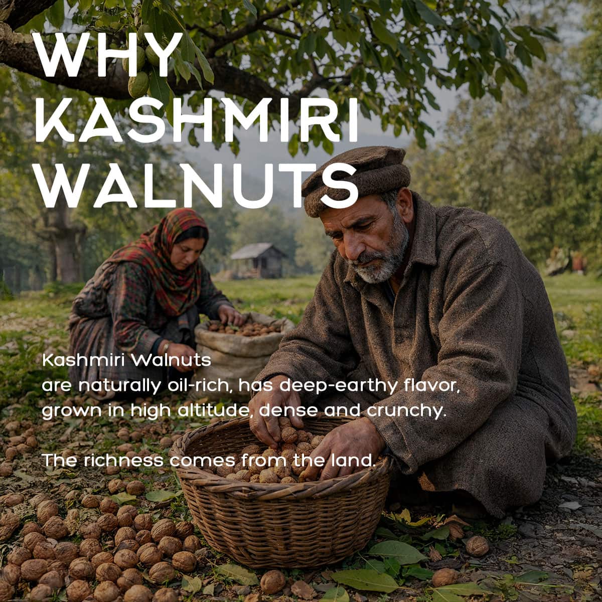 Walnuts