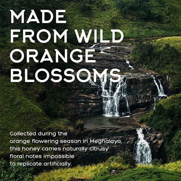 Orange Flora Honey