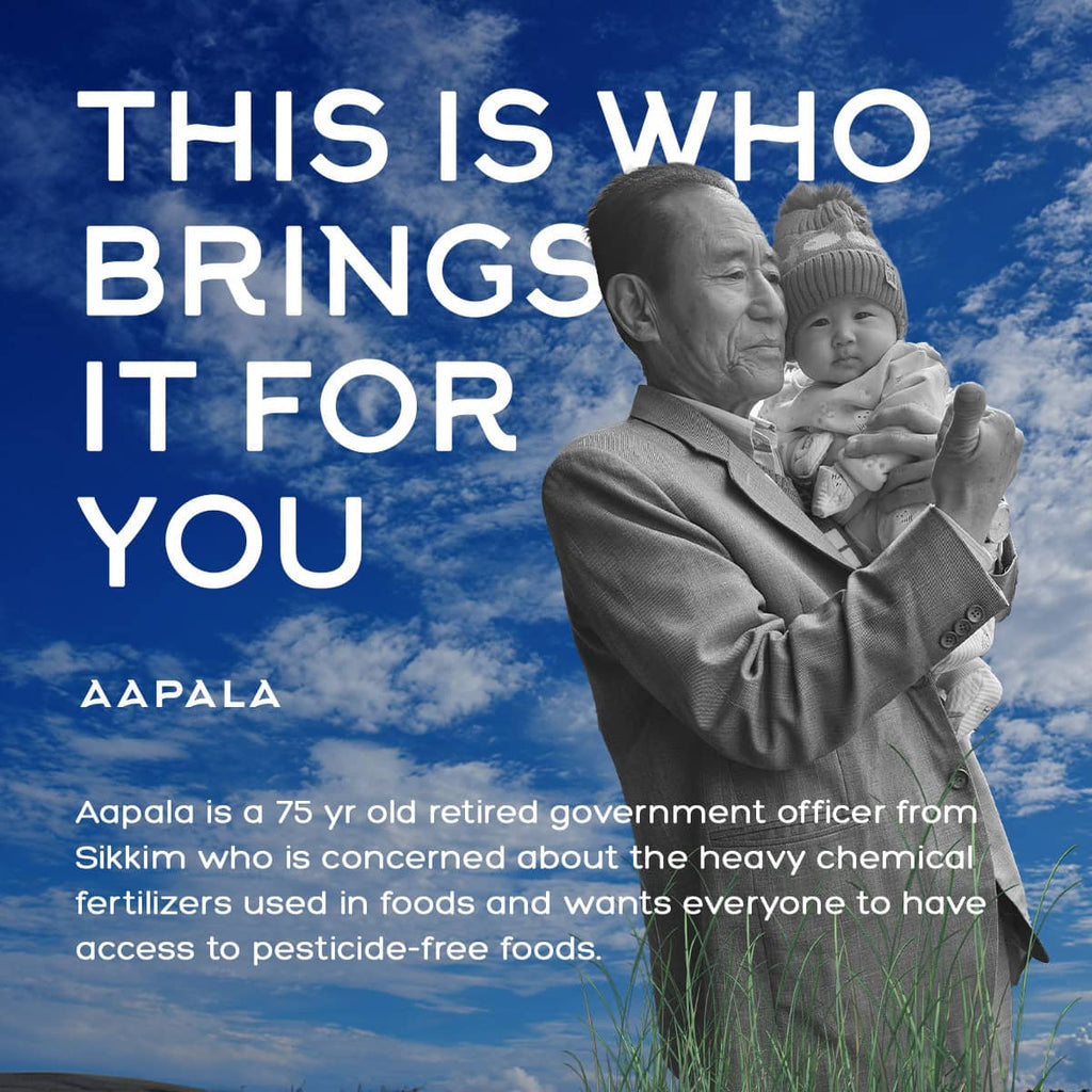 Aapala